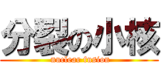 分裂の小核 ( nuclear fusion)
