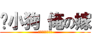 赵小狗 俺の嫁 (你是我的啦八嘎！)