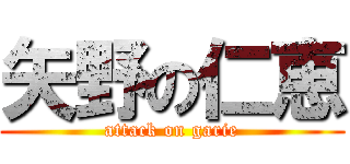矢野の仁恵 (attack on garie)