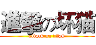 進擊の坏猫 (attack on titan)