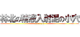 林北の精液入射泥の小穴 (insert you)
