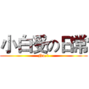 小白受の日常 (No.1)