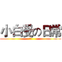 小白受の日常 (前傳)