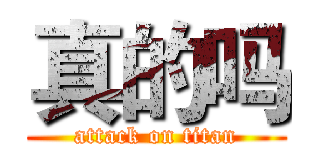 真的吗 (attack on titan)