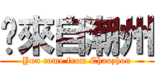 你來自潮州 (You come from Chaozhou)