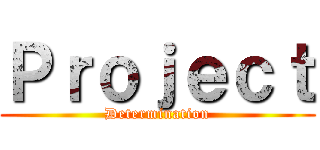 Ｐｒｏｊｅｃｔ (Determination)
