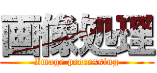画像処理 (Image processing)