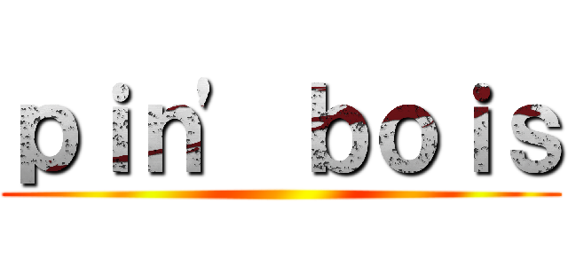 ｐｉｎ' ｂｏｉｓ ()