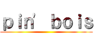 ｐｉｎ' ｂｏｉｓ ()