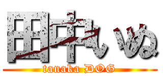 田中いぬ (tanaka DOG)