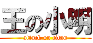 王の小明 (attack on titan)