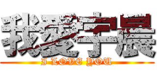 我愛宇晨 (I LOVE YOU)