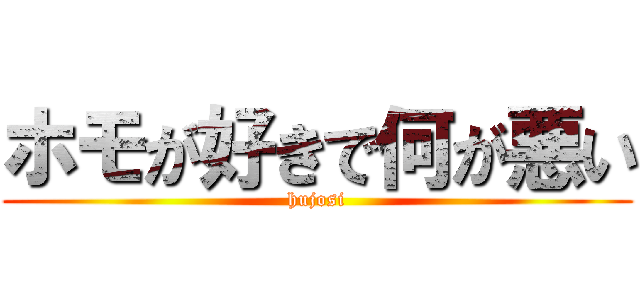 ホモが好きで何が悪い (hujosi)