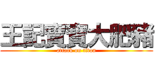 王記寶寶大肥豬 (attack on titan)