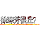 徐琮芳很丘？ (ANJI GOOD)