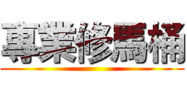 專業修馬桶 ()