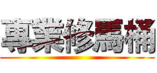 專業修馬桶 ()