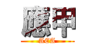 應甲 (AEA)