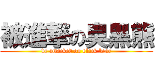 被進撃の臭黑熊 (be attacked on black bear)