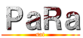 ＰａＲａ (sat)