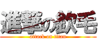 進撃の欽毛 (attack on titan)