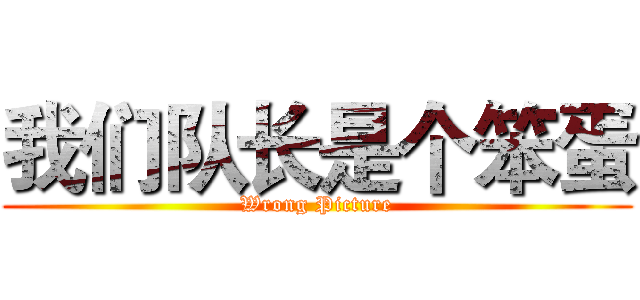我们队长是个笨蛋 (Wrong Picture)