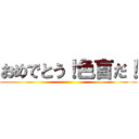 おめでとう！色盲だ！ ()