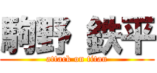 駒野 鉄平 (attack on titan)