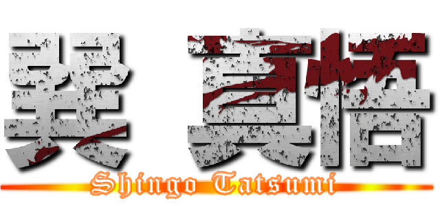 巽 真悟 (Shingo Tatsumi)