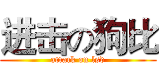 进击の狗比 (attack on lsd)