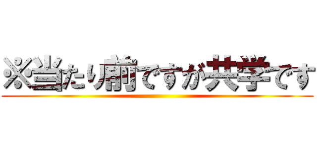 ※当たり前ですが共学です ()