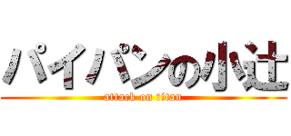 パイパンの小辻 (attack on titan)