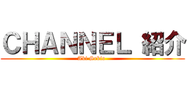 ＣＨＡＮＮＥＬ 紹介 (Aki Sekio )