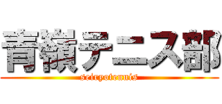 青嶺テニス部 (seiryotennis)