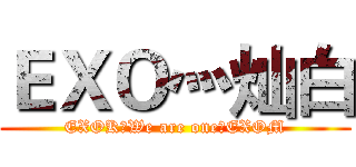 ＥＸＯ灬灿白 (EXOK！We are one！EXOM)