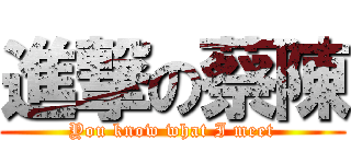 進撃の蔡陳 (You know what I meet)