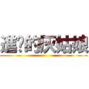 進击的灰姑娘 ()