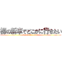 柳の新車でどこかに行きたい (be in traffic accident)