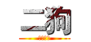 二狗 (无懈可击)
