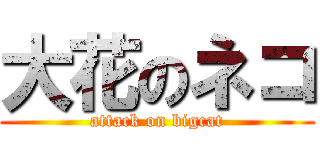 大花のネコ (attack on bigcat)