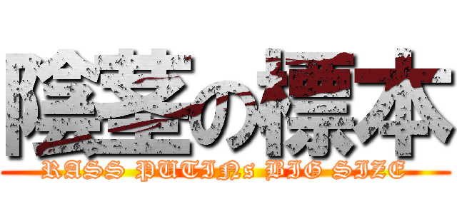 陰茎の標本 (RASS PUTINs BIG SIZE)