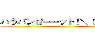 ハラパンゼーーット！＼（＾ｏ＾）／ (決して変態ではありません)