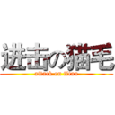 进击の猫毛 (attack on titan)