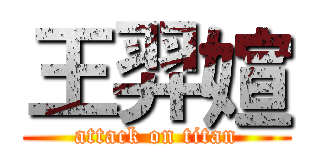 王羿媗 (attack on titan)