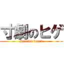 寸劇のヒゲ (Scarlet beard)