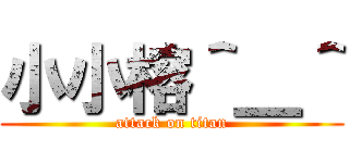 小小榕＾＿＾ (attack on titan)