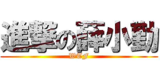 進撃の薛小勤 (WTF)