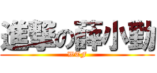 進撃の薛小勤 (WTF)