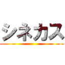 シネカス ()