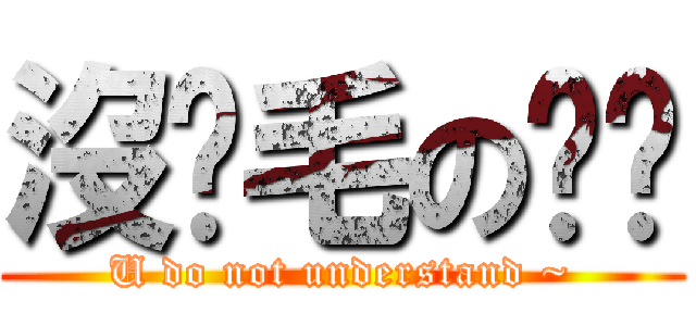 沒貓毛の貓貓 (U do not understand ~)
